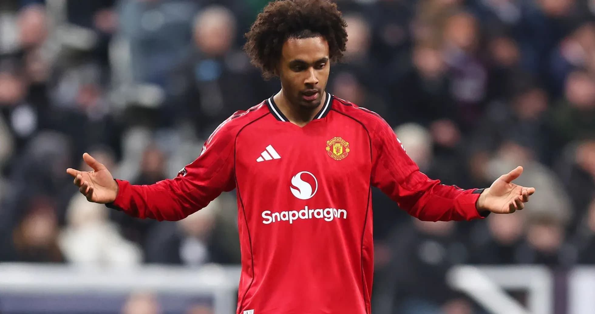 Player in Manchester United jersey during match