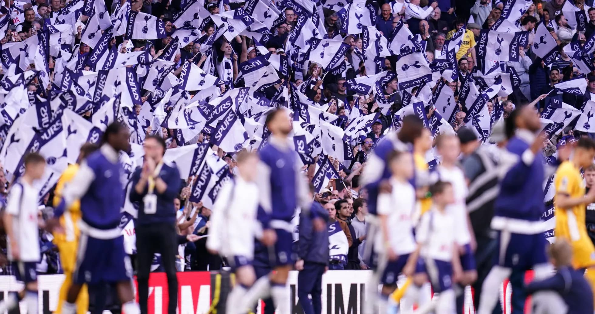 Fans waving flags in support during a match