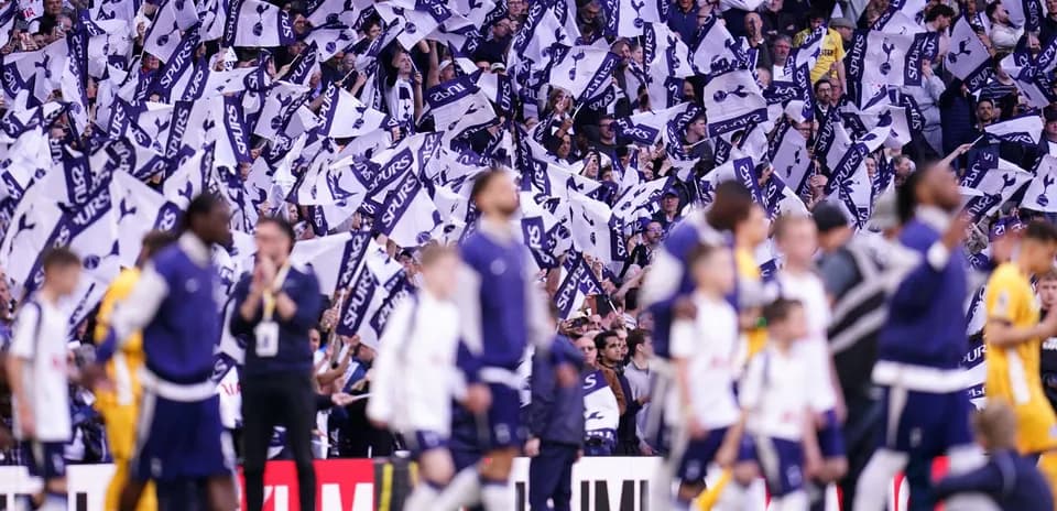 Fans waving flags in support during a match