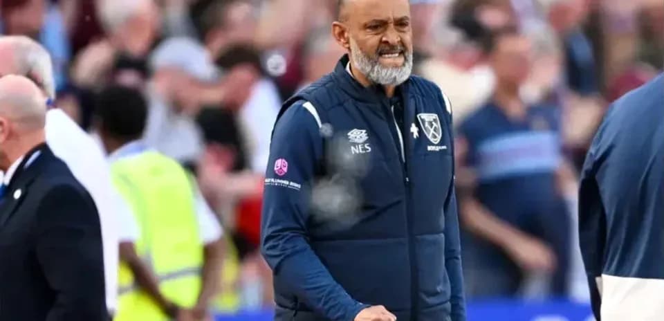 Manager celebrating during a match with fans