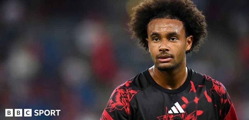 Player in red and black jersey on the pitch