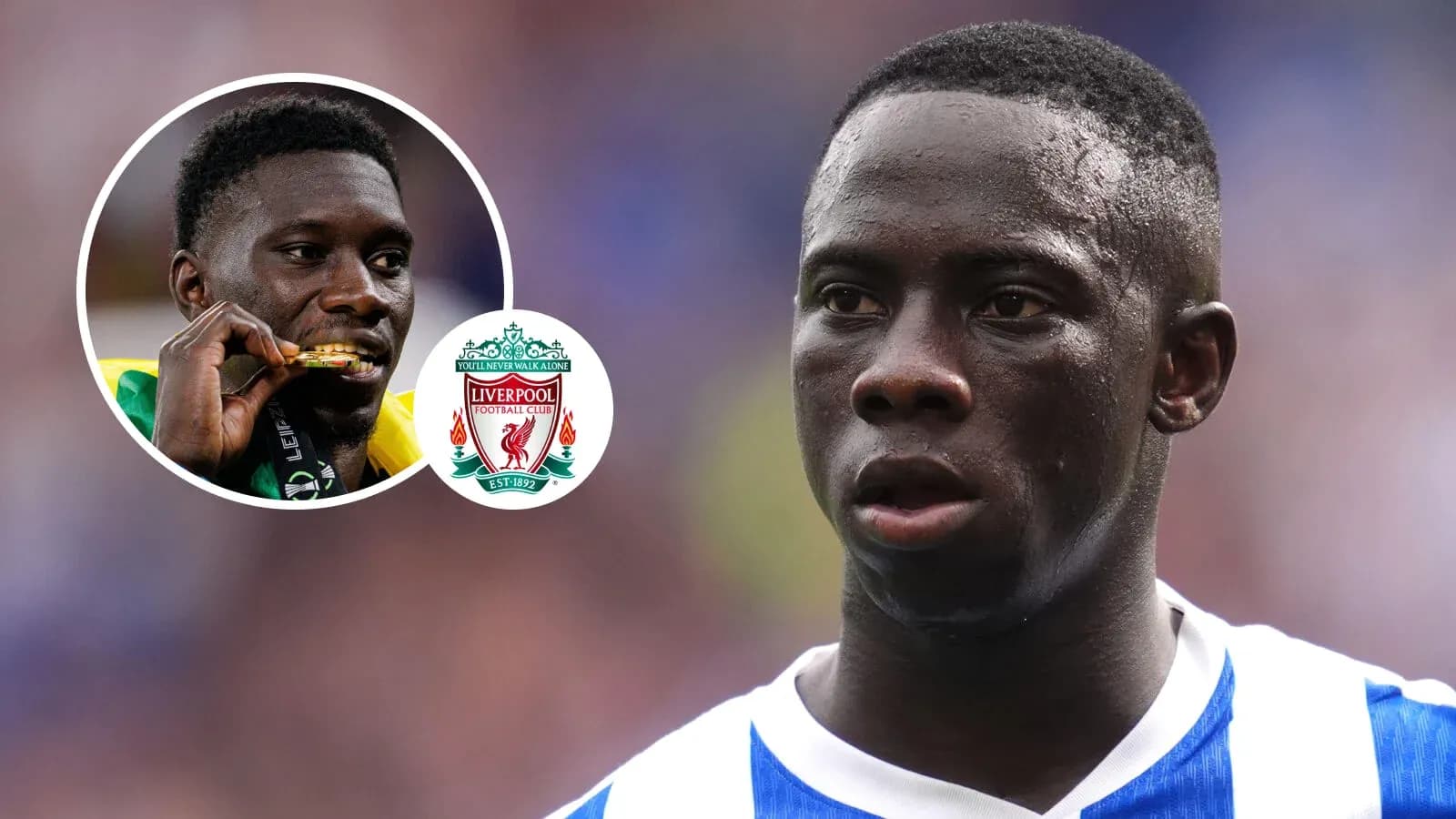 Player in blue jersey during match with Liverpool logo Player in blue jersey during match with Liverpool logo