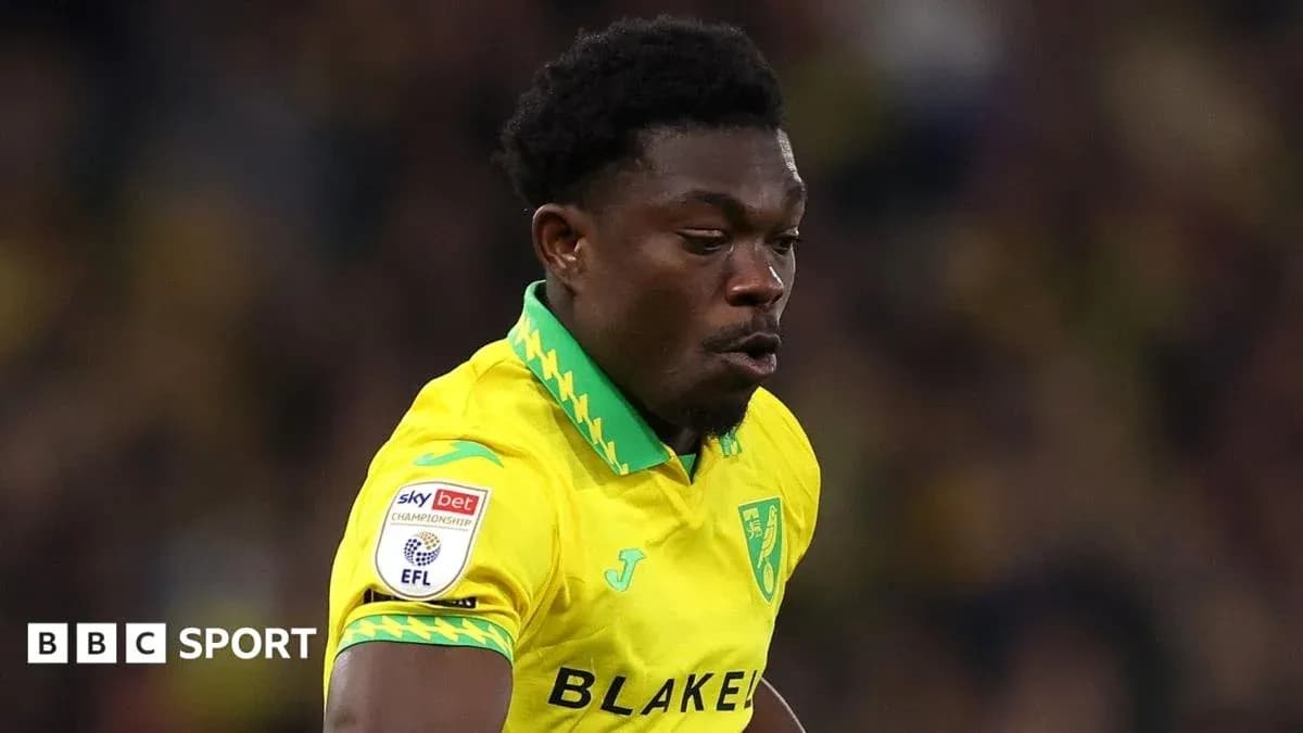 Norwich City player in yellow kit during match Norwich City player in yellow kit during match