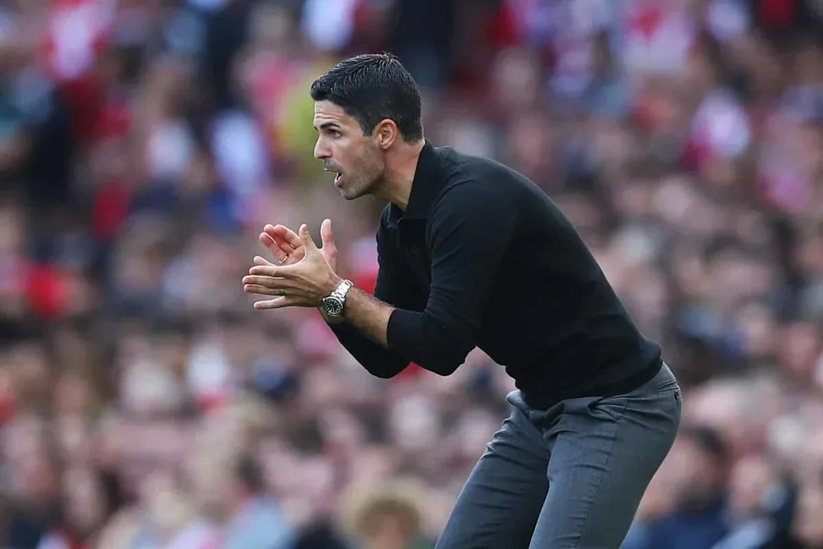 Manager gesturing during a football match on sideline Manager gesturing during a football match on sideline