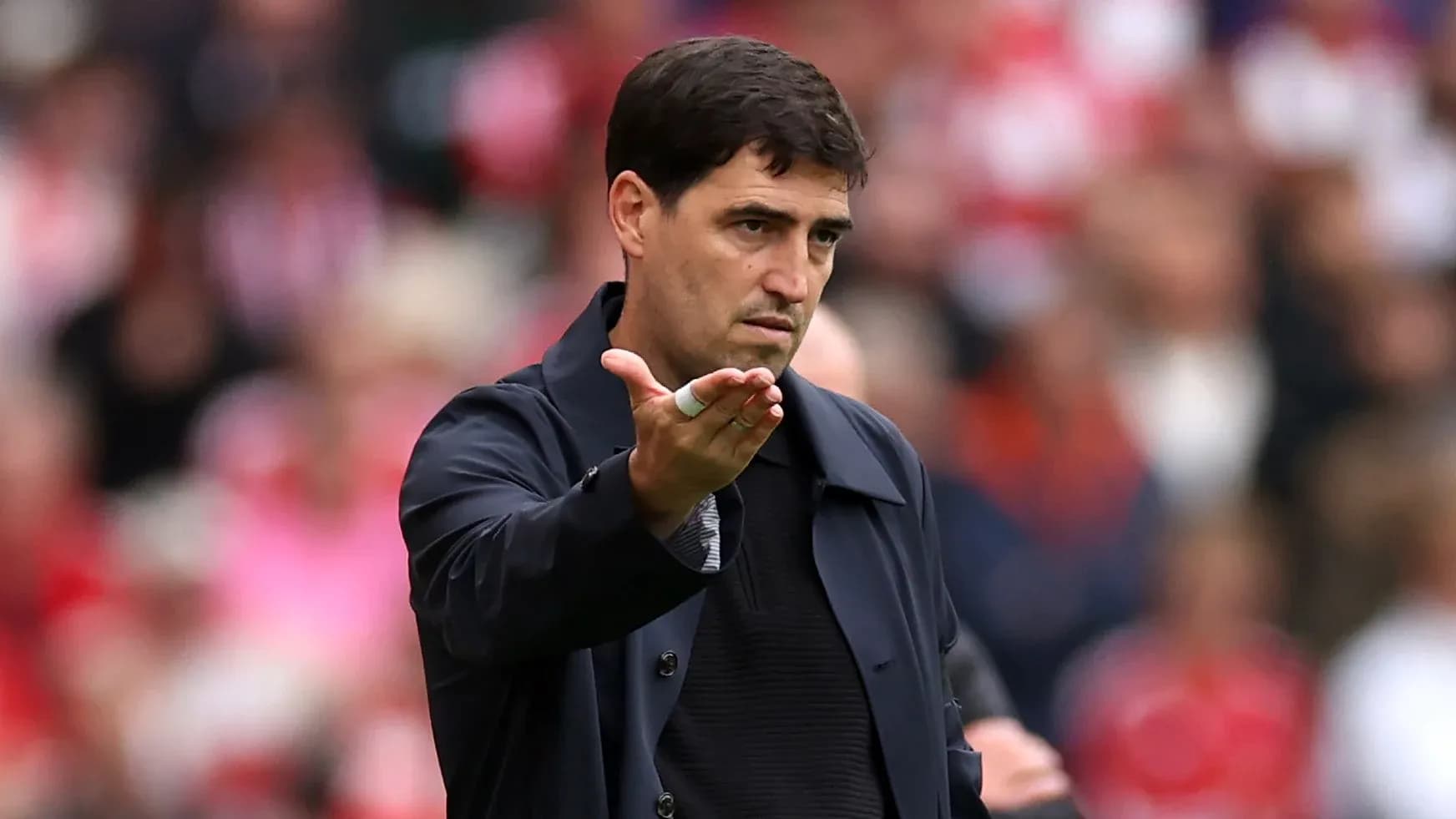 Coach gesturing during a football match Coach gesturing during a football match