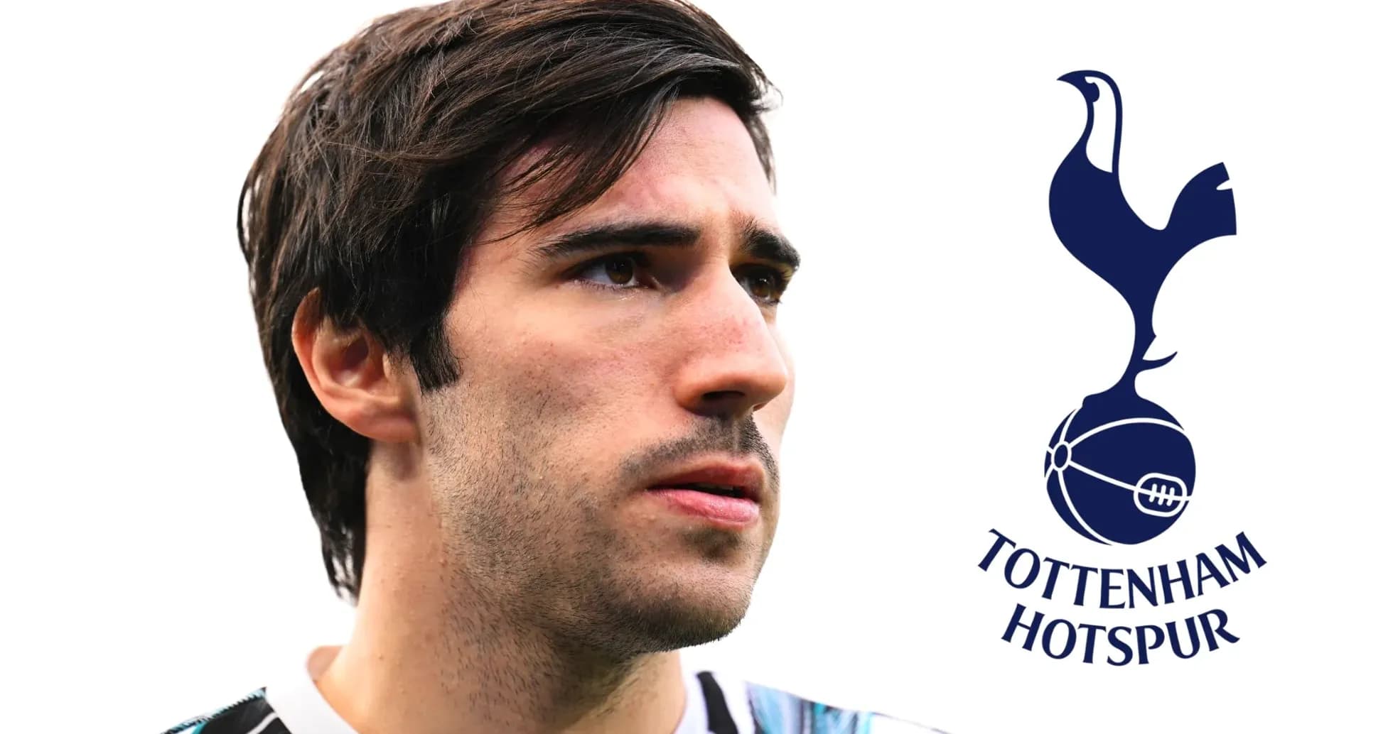 Player in Tottenham Hotspur kit with club logo Player in Tottenham Hotspur kit with club logo