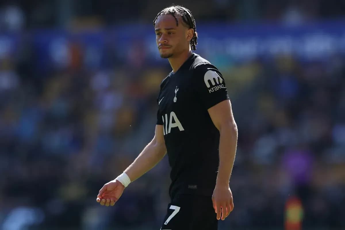 Tottenham player walking on the pitch during match Tottenham player walking on the pitch during match